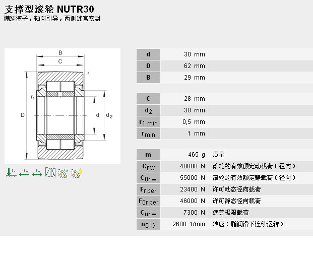 Διπλά ρουλεμάν κυλίνδρων βελόνων συμπληρώματος NUTR30 υπόλοιπου κόσμου πλήρη 30 × 62 × 29mm 0